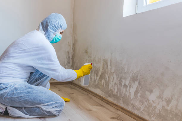 Licensed Attic Mold Removal service in Moncure, NC - WQB Mold Removal