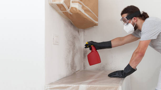 Professional Attic Mold Removal technician working in Moncure, NC