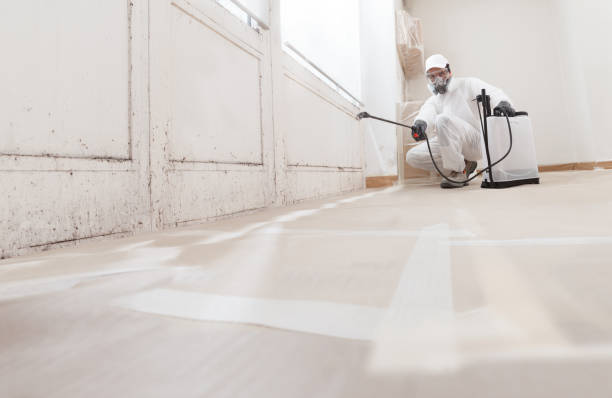 24/7 Emergency Attic Mold Removal experts in Moncure, NC