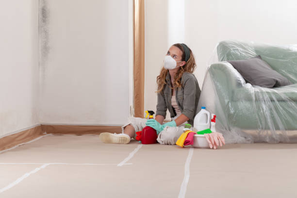 Reliable Attic Mold Removal contractor in Moncure, NC by WQB Mold Removal