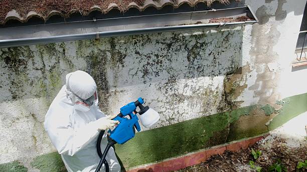 Top rated local Attic Mold Removal specialists in Moncure, NC